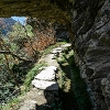Plants: image 153 Of 208 Thumb